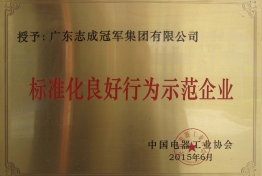 标准化良好行为示范企业
