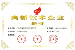 高新技术企业